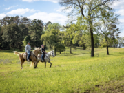 Dead Cat Ranch Rest, Play & Stay – The East Texas Way