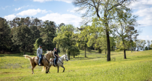 Dead Cat Ranch Rest, Play & Stay – The East Texas Way