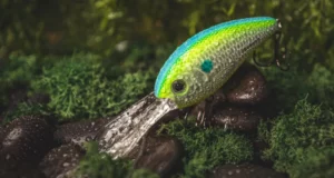 Deep Diving – CRANKBAITS
