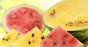 Watermelons – A Summertime Treat