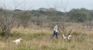 Grahmann Family Ranches – How Cattle and Conseravation Can Coexist