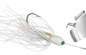 Top Baits For Fall Bass