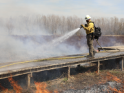 Timber Management – Prescribed Burning Explained