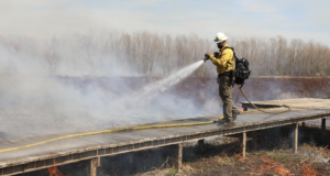 Timber Management – Prescribed Burning Explained