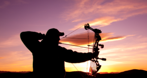 The Archer’s Conundrum