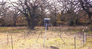 Before the Gates of Hell Open