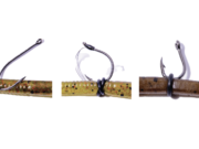 The “Wacky” Worm Rig – Keep it Simple for Spring Bass