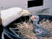 The Footprints You Leave Behind