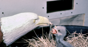 The Footprints You Leave Behind