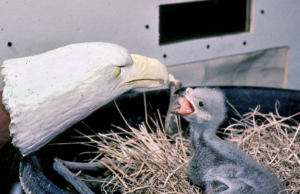 The Footprints You Leave Behind