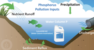 Pond Magic Made Simple