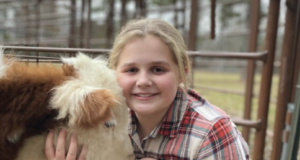 Mini Cattle: Pets or Protein?