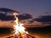 The Allure of a Campfire