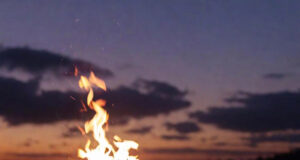 The Allure of a Campfire