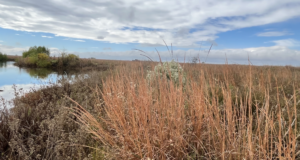 Home on the … Prairie