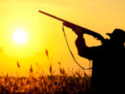 Dove Bustin’ 101 TIPS FROM A VETERAN SKY BLASTER