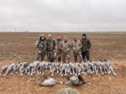 Texas Country Royalty WADE BOWEN