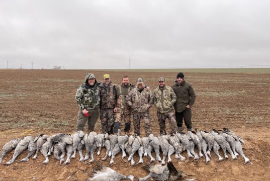 Texas Country Royalty WADE BOWEN