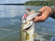 The Jitterbug – The Forgotten Lure That STILL Catches Fish
