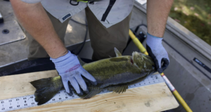 Stock up for Success