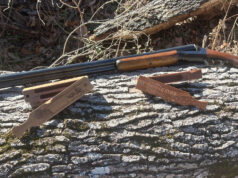 Box Calls for Beginners