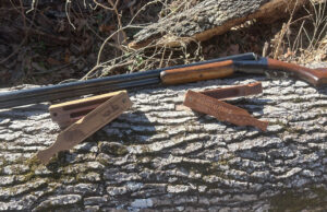 Box Calls for Beginners