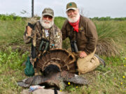 Turkey Happenings and Mishappenings!