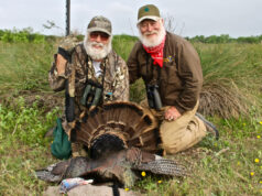 Turkey Happenings and Mishappenings!