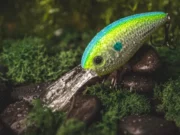 Deep Diving – CRANKBAITS