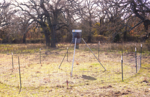 Before the Gates of Hell Open