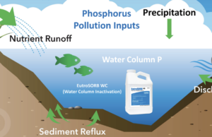 Pond Magic Made Simple