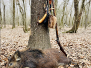 The Flintlock Hog – Celebrating Hunting Heritage
