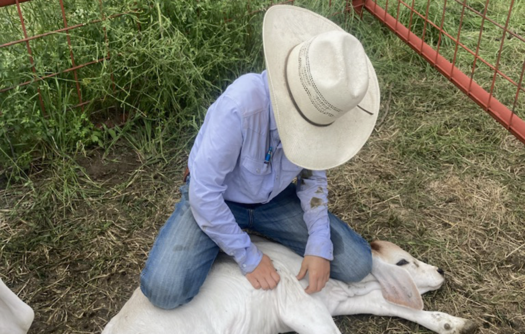 Someone Ranching Ranching By The Signs | LIFE & LAND