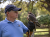 Falconry – From Hobby To Small Business
