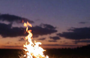 The Allure of a Campfire