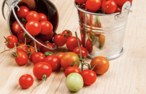 Making the Most of Your Harvest