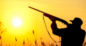 Dove Bustin’ 101 TIPS FROM A VETERAN SKY BLASTER