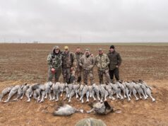 Texas Country Royalty WADE BOWEN