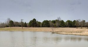 Summertime Algae an Unsightly Nuisance for Pond and Lake Owners