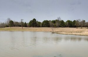 Summertime Algae an Unsightly Nuisance for Pond and Lake Owners