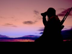 Glassing for Big Game