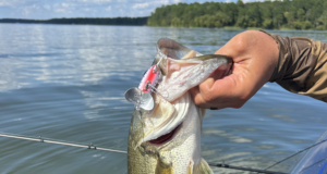 The Jitterbug – The Forgotten Lure That STILL Catches Fish