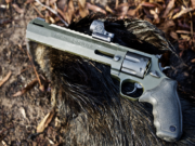 Hunting with Handguns