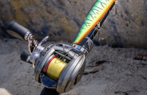 Rod and Reel Maintenance