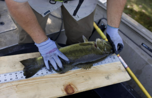 Stock up for Success