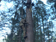 Better on the Climb Down