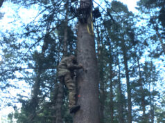 Better on the Climb Down