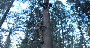 Better on the Climb Down