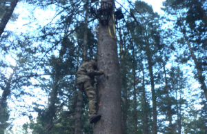 Better on the Climb Down