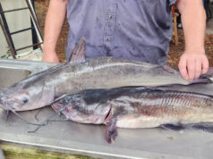 Make It Easy on Yourself, Bud – Just Go Fishing